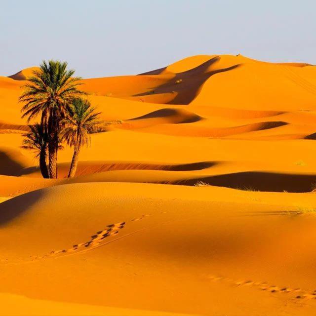 Rainbow Desert Camp Merzouga Exterior foto